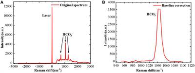 Quartz Tube Enhanced Raman Scattering Spectroscopy